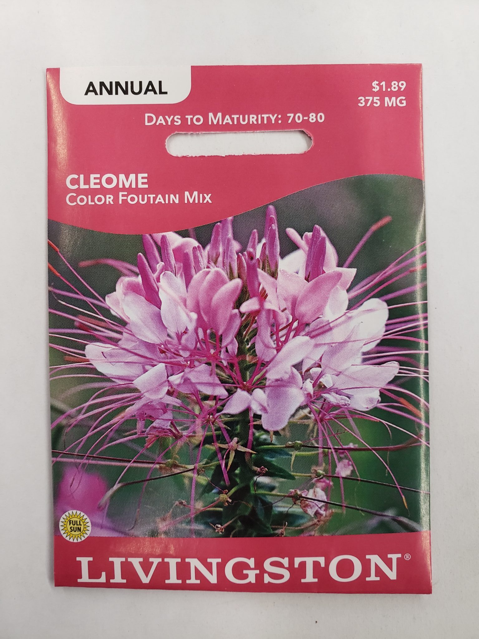 Y1095 Color Fountain Mix Cleome Seed, Summer to Fall Bloom, Ivory/Magenta/Pink Bloom, 375 mg Pack