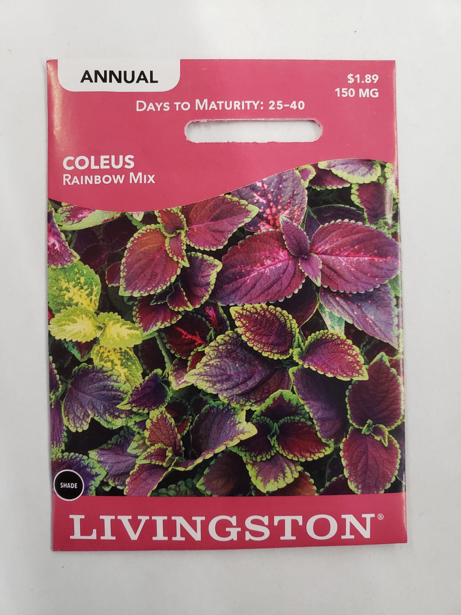 Livingston Seed Y1100 Rainbow Mix Coleus Seed, Summer Bloom, Kelly Green/Lemon Yellow/Royal Burgundy Bloom, 150 mg Pack