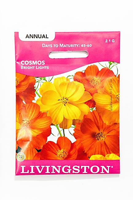 Y1105 Bright Light Cosmos Seed, Summer to Fall Bloom, Orange/Red/Yellow Bloom, 1.25 g Pack