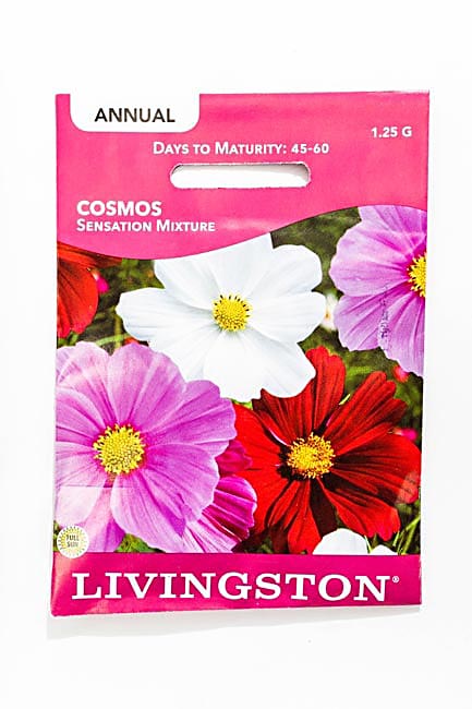Y1135 Sensation Mixture Cosmos Seed, Summer to Fall Bloom, Crimson/Pink/Rose/White Bloom, 1 g Pack