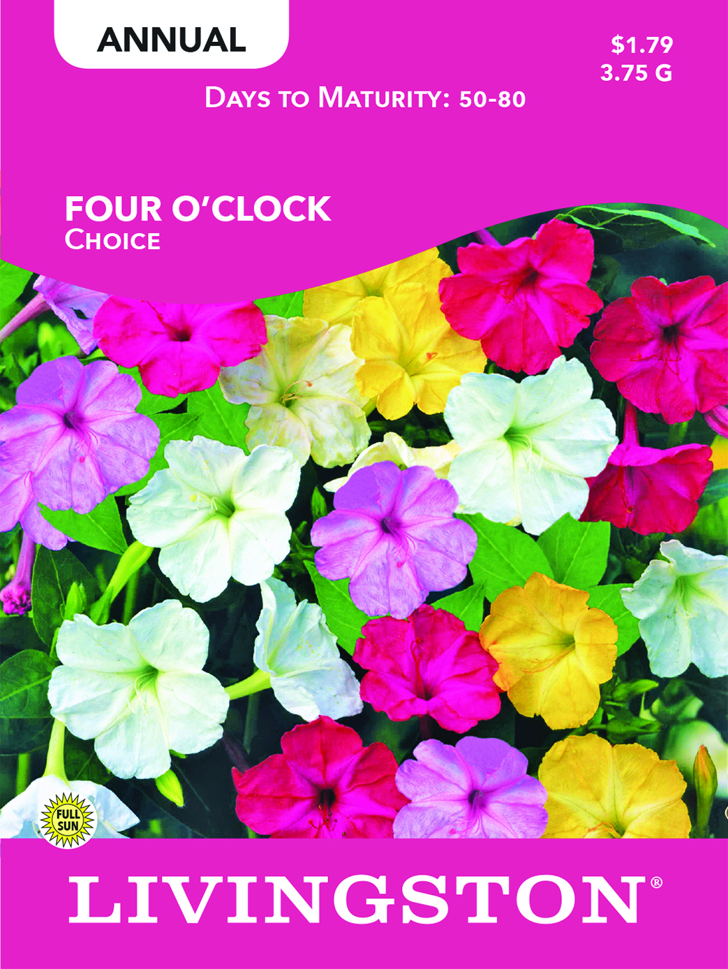 Y1175 Choice Mixture Four O'Clock Seed, Summer to Fall Bloom, Crimson/Striped/Violet/White/Yellow Bloom