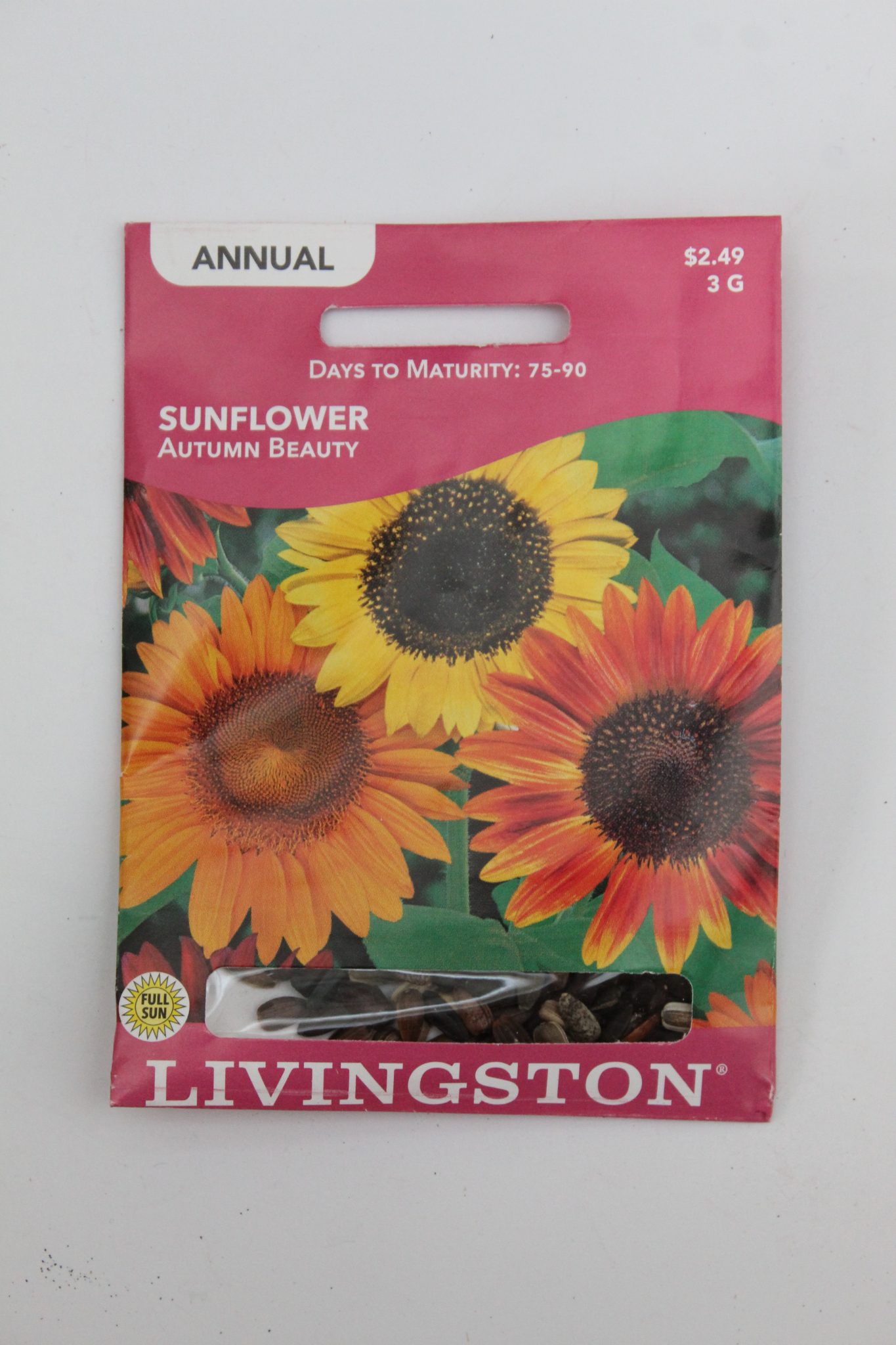 Y1450 Autumn Beauty Sunflower Seed, Late Summer to Fall Bloom, Lemon Yellow/Rich Wine Bloom, 2 g Pack