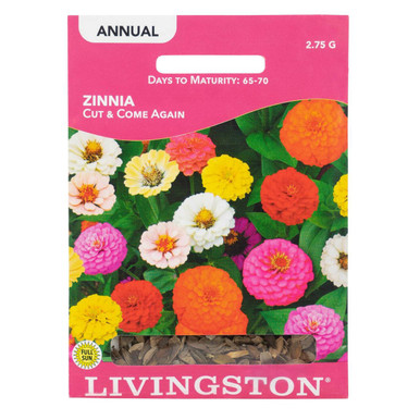 Y1555 Cut and Come Again Zinnia Seed, Summer to Fall Bloom, 2 g Pack