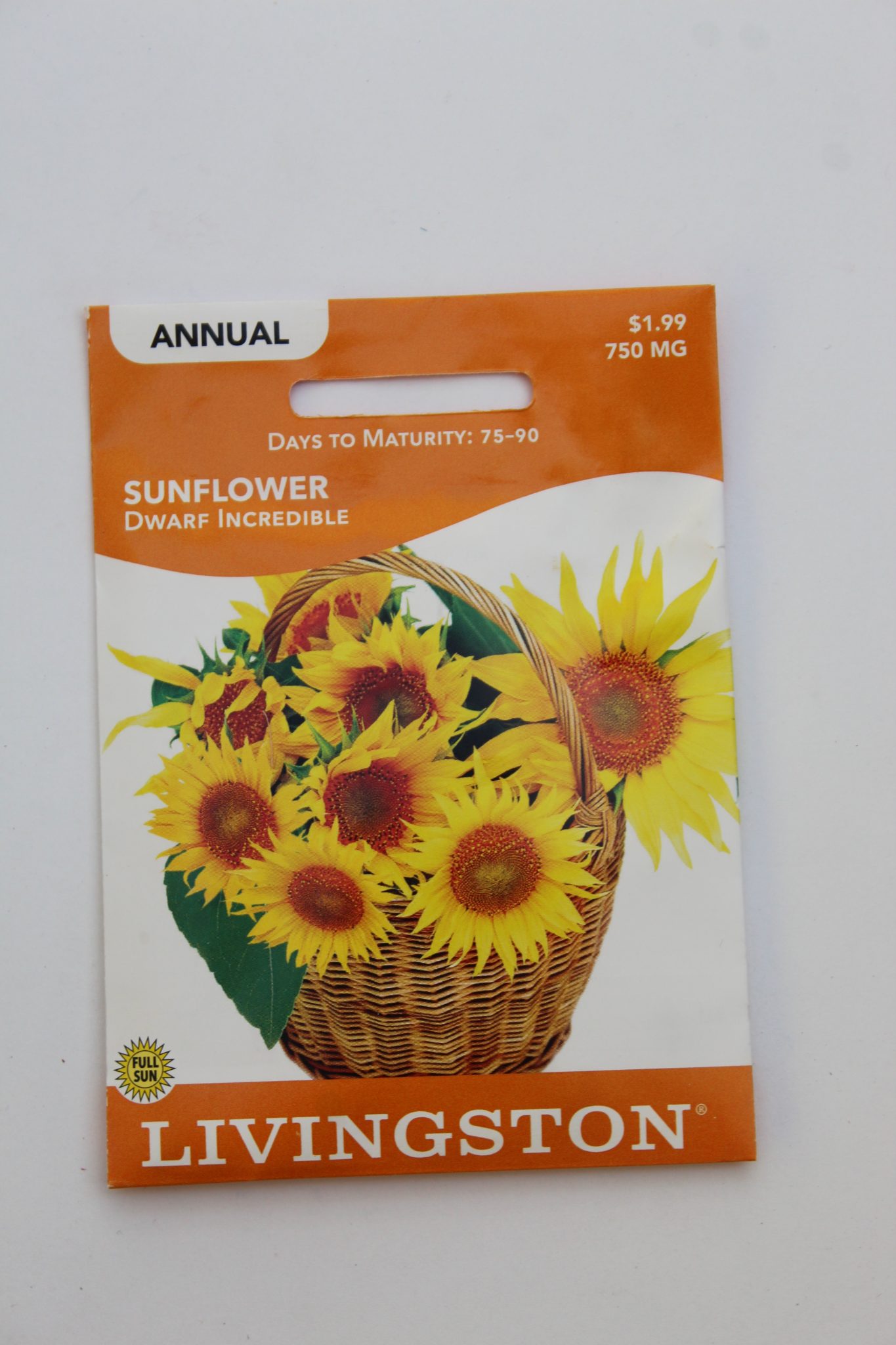 Y2005 Dwarf Incredible Sunflower Seed, Summer to Fall Bloom, 750 mg Pack