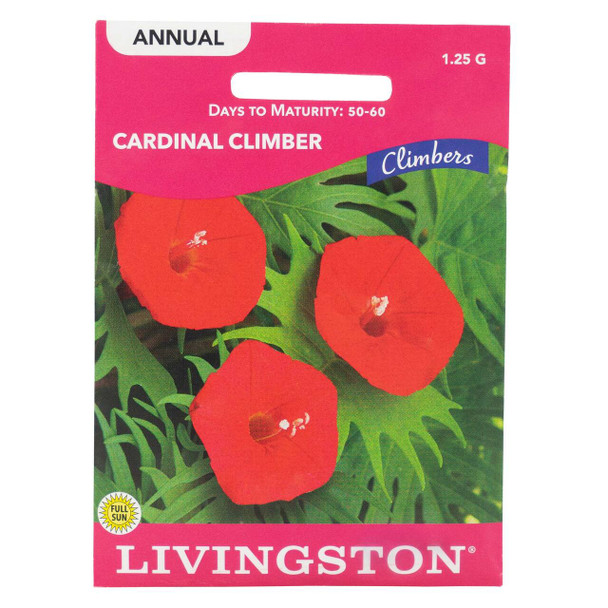 Y2530 Cardinal Climber Seed, Summer to Fall Bloom, 900 mg Pack