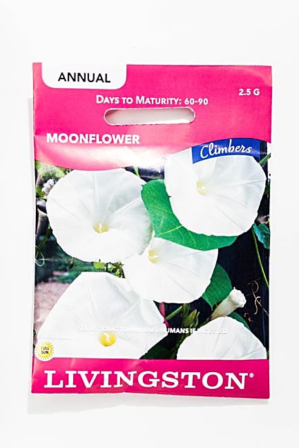 Y2550 Moonflower Seed, Summer to Fall Bloom, White Bloom, 2.5 g Pack