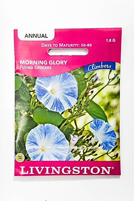 Y2580 Flying Saucers Morning Glory Seed, Summer to Fall Bloom, Purple/White Bloom, 1.8 g Pack