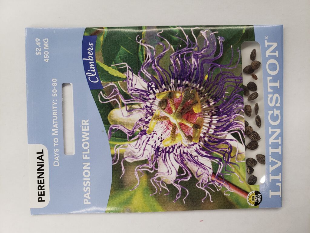 Y2620 Passion Flower Seed, Summer to Fall Bloom, Blue Bloom, 250 mg Pack