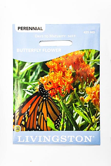 Y3035 Butterfly Flower Seed, Late Spring to Summer Bloom, Orange/Red Bloom, 250 mg Pack