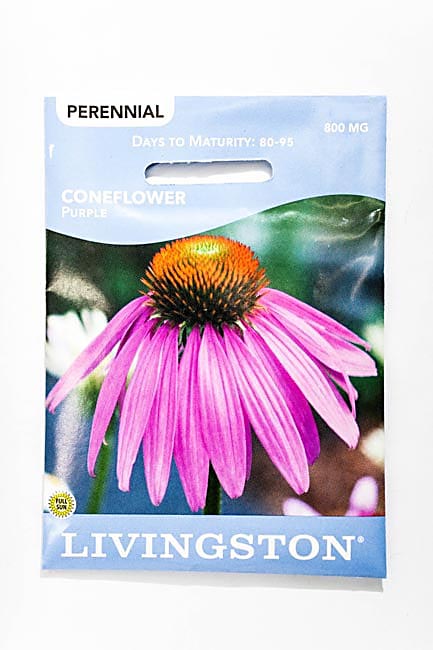 Y3060 Coneflower Seed, Summer to Fall Bloom, Purple Bloom, 500 mg Pack
