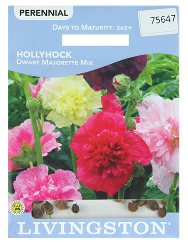 Y3130 Dwarf Majorette Mix Hollyhock Seed, Summer to Fall Bloom, 500 mg Pack