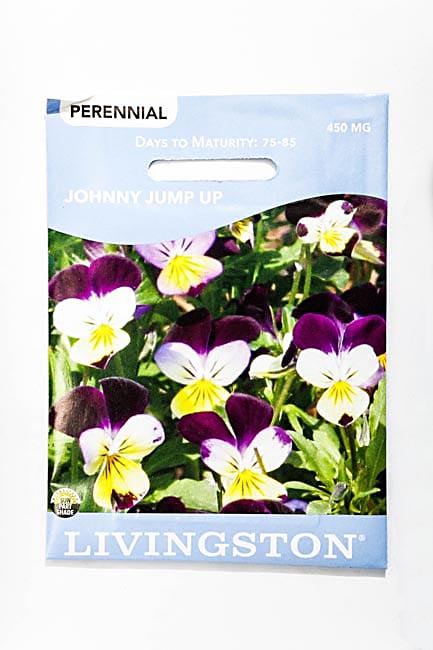 Y3155 Jump Up Johnny Seed, Spring to Fall Bloom, Purple/Yellow Bloom, 450 mg Pack
