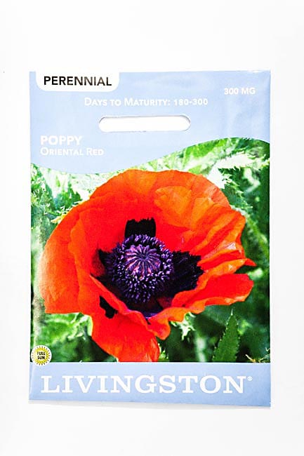 Y3195 Oriental Poppy Seed, Spring to Summer Bloom, Red Bloom, 300 mg Pack