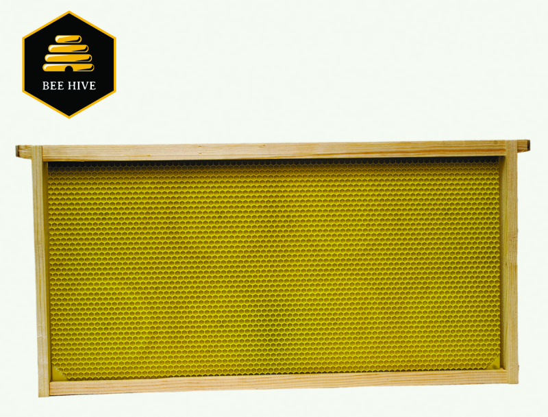 WWFFD-101 Bee Frame, Plastic/Wood