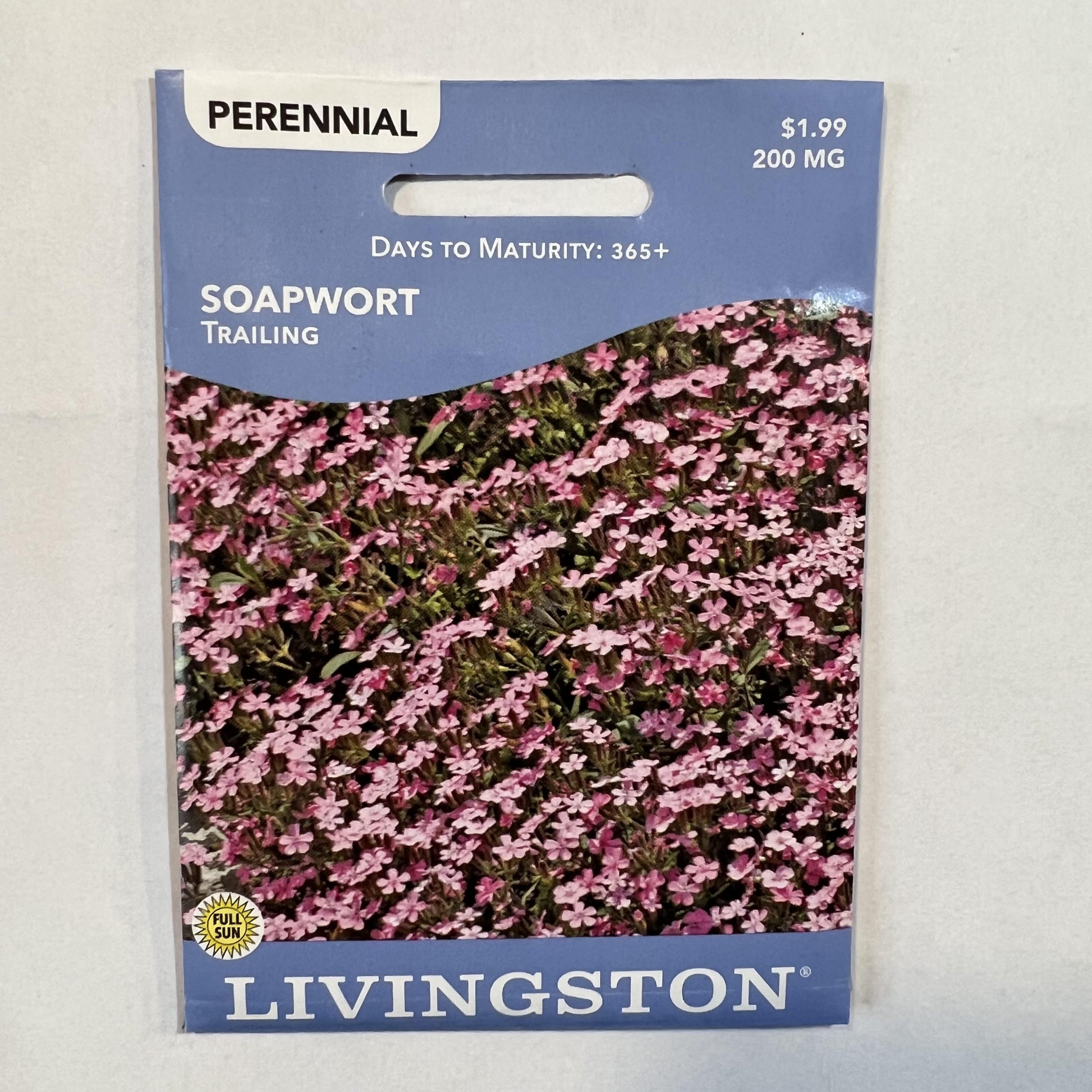 Y3210 Flower Seed Pack, Trailing Soapwort Pack