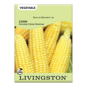 Y4235 Flower Seed, Corn Golden Cross Bantam