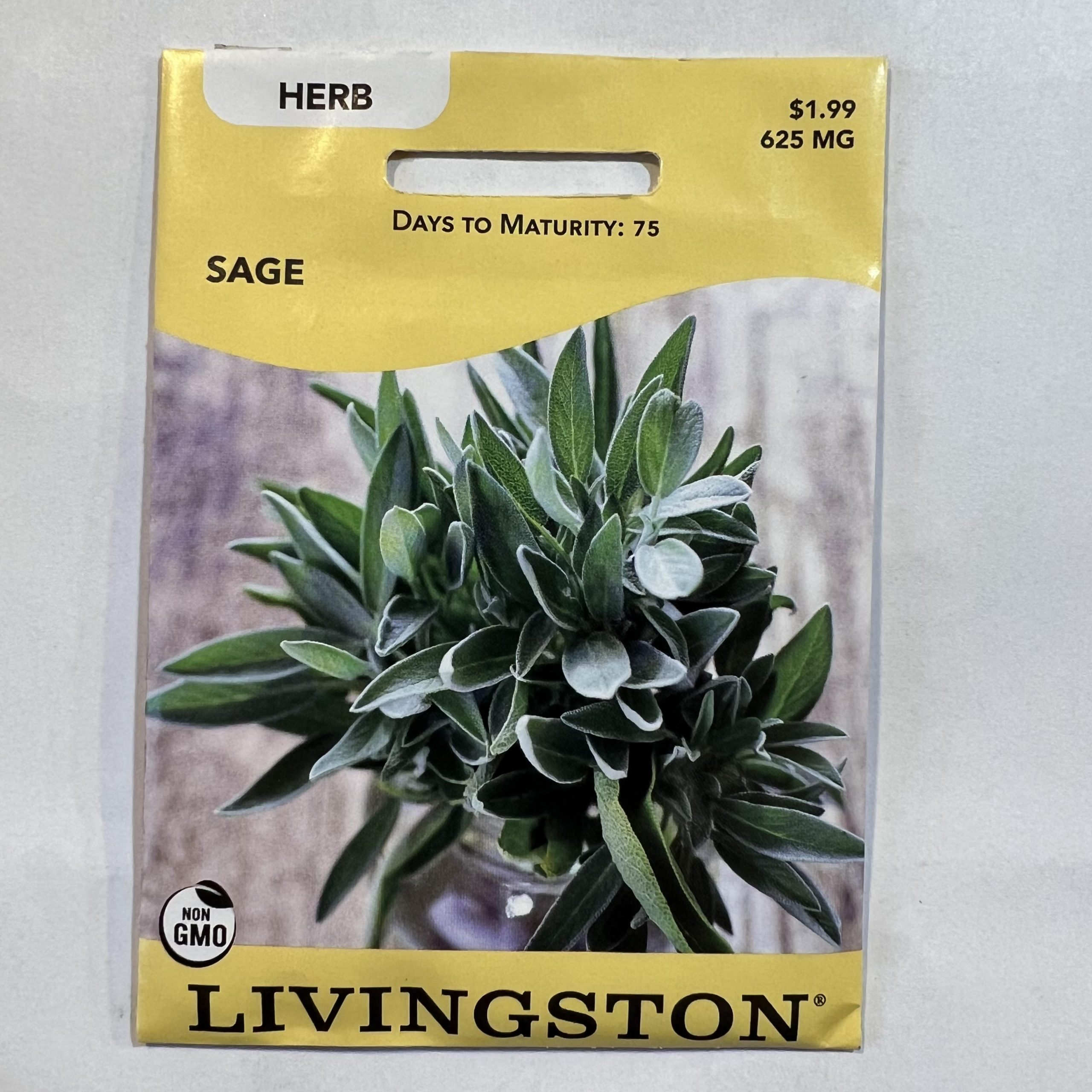 Y6650 Herb Seed Pack, Sage Pack