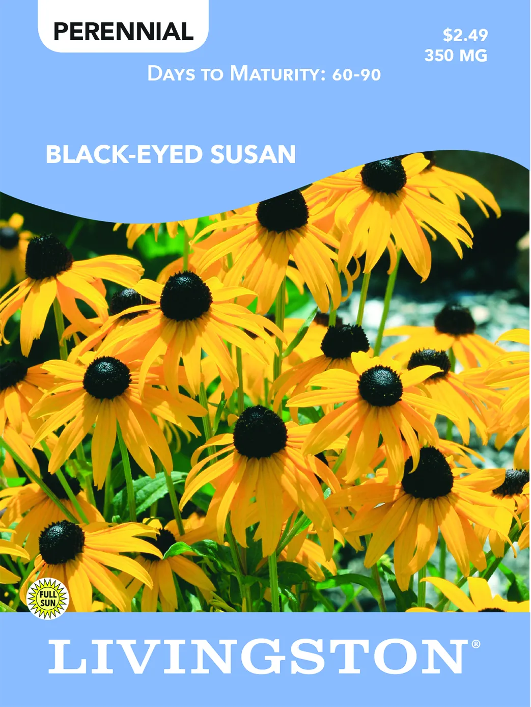 Y3016 Flower Seed, Black Eye Susan, Fall, Spring Planting, Spring to Fall Bloom, Yellow Bloom Packet