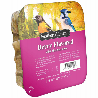 14374 Wild Bird Food, Suet, Berry, 11.75 oz