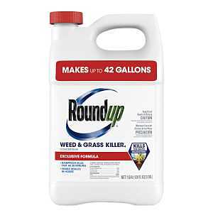 5376804 Concentrated Weed and Grass Killer, Liquid, 1 gal, Bottle
