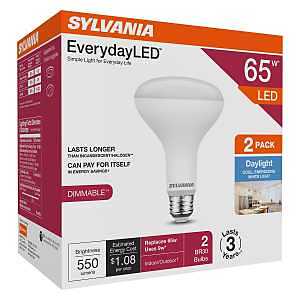 42023 LED Light Bulb, BR30 Lamp, Daylight