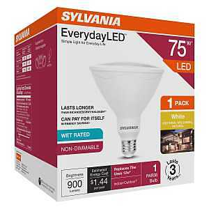 42035 LED Light Bulb, PAR38 Lamp, Bright White