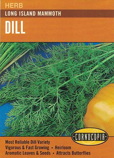 143 Long Island Mammoth Seed, Dill, Spring Planting, Mid-Late Harvest