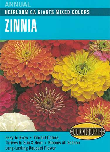 354 Zinnia Heirloom Sombrero, Zinnia Elegans, April, June Planting, Fall, Summer Bloom, 270 mg