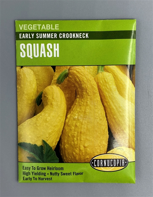 179 Early Summer Squash Seed, Crookneck, Cucurbita Pepo, Early Summer, Late Spring Planting, 3.5 g
