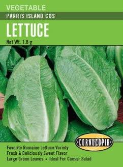 247 Parris Island Cos Seed, Lettuce, Lactuca Sativa, Early Spring Planting, 1.8 g