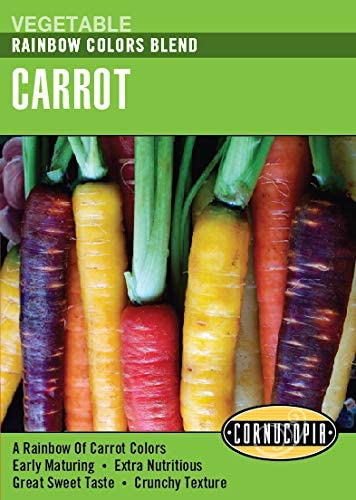 314 Rainbow Colors Seed, Carrot, Daucus Carota, Spring Planting