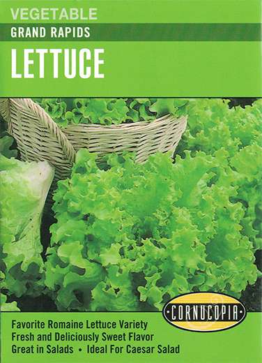 158 Grand Rapids Seed, Lettuce, Lactuca Sativa, Early Spring, Fall Planting, 1.8 g