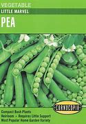 193 Little Marvel Vegetable Seed, Pea, Pisum Sativum, Early Spring Planting, 28.3 g