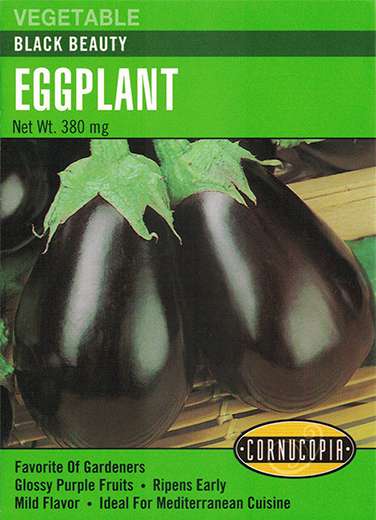 221 Black Beauty Vegetable Seed, Eggplant, Solanum Melongena, 380 mg