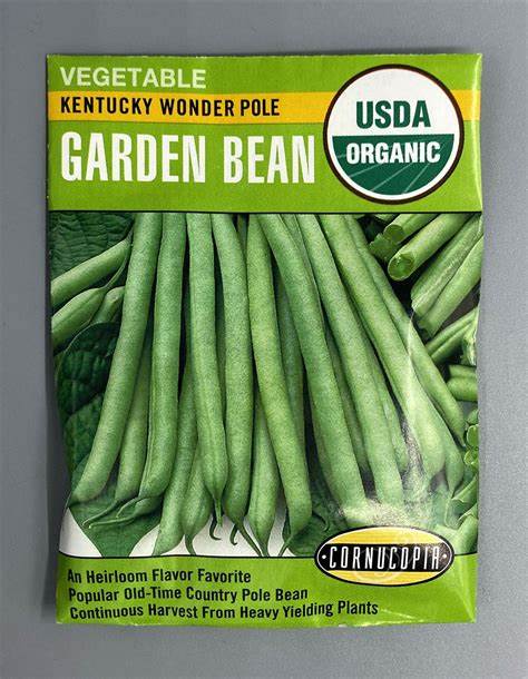 191 Kentucky Wonder Seed, Bean, Phaseolus Vulgaris, Late Spring Planting, 28.35 g