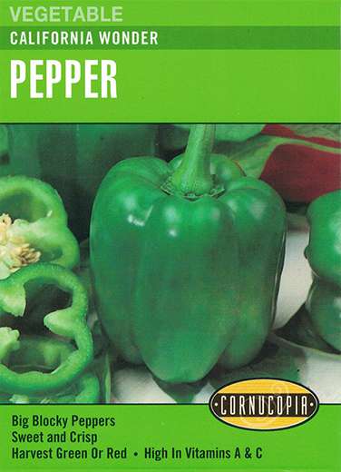 165 California Wonder Seed, Pepper, Capsicum Annuum, Spring Planting, 300 mg