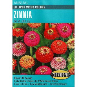 139 Zinnia Lilliput Seed, Zinnia Elegans, Last Spring Planting, All Season Bloom