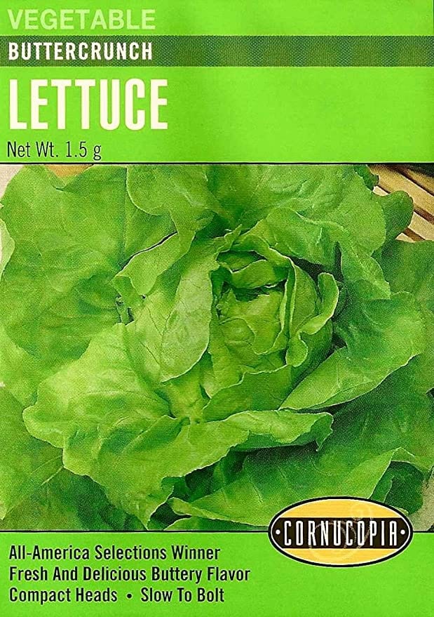 222 Buttercrunch Vegetable Seed, Lettuce, Lactuca Sativa, Early Spring Planting, 1.5 g