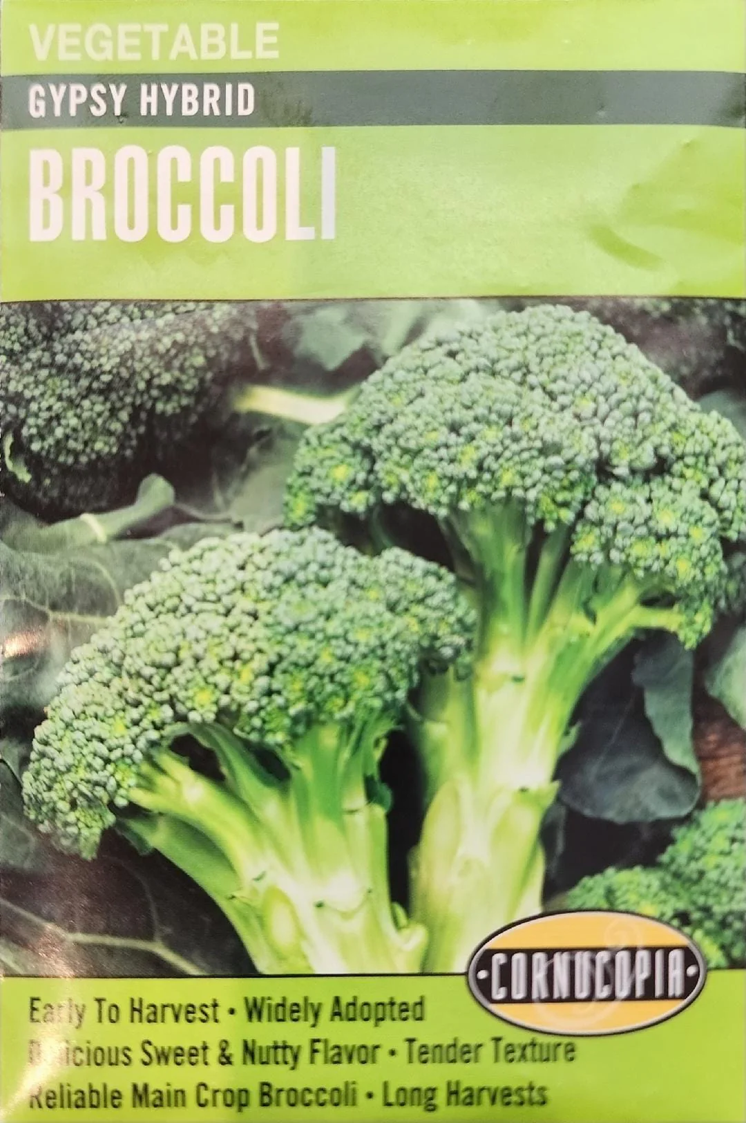 336 Gypsy Hybrid Vegetable Seed, Broccoli, Brassica Oleracea, Early Spring Planting