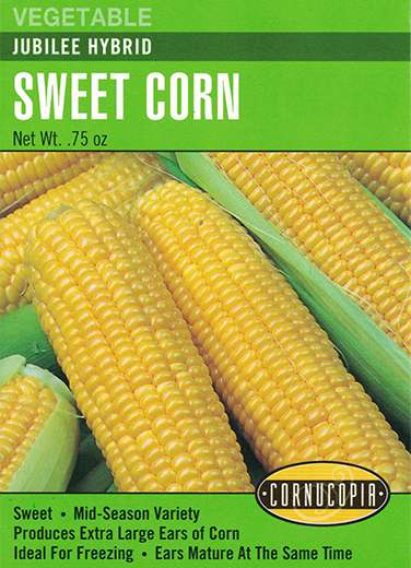197 Jubilee Hybrid Vegetable Seed, Corn, Zea Mays, Late Spring Planting, 21.3 g