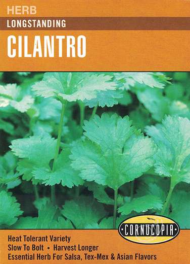 142 Longstanding Seed, Cilantro, Coriandrum Sativum, Early Spring Planting, All Season Harvest
