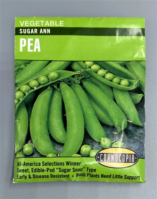 195 Sugar Ann Vegetable Seed, Pea, Pisum Sativum, Early Spring Planting, 28.3 g