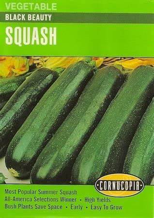 177 Black Beauty Squash Seed, Zucchini, Cucurbita Pepo, Early Summer, Late Spring Planting