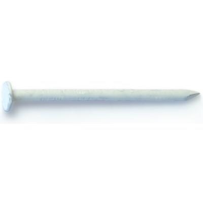 24663 Finishing Nail, 1-1/4 in L, Stainless Steel, White