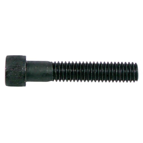 880835 Cap Screw, M8-1.25 Thread, 25 mm L, Coarse Thread, Allen, Socket Drive, Blunt Point, Steel