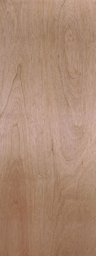 20 in x 80 in, Hardwood, Hollow Core, Interior Slab Door