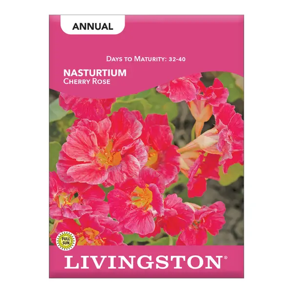 Y1305 Flower Seed, Nasturtium Cherry Rose Jewel, Late Spring to Fall Bloom, 2 g