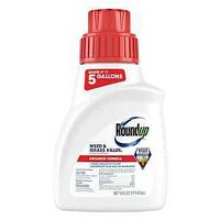 KILLER WEED & GRASS CONC 16OZ