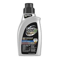 KILLER WEED&GRASS 12M CON 32OZ