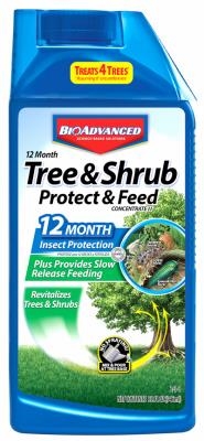 Tree Shrub & Feed, 32 OZ